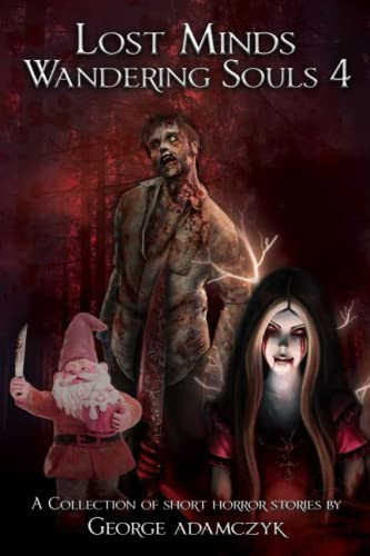 Adamczyk - Lost Minds, Wandering Souls 4 - New paperback or softback