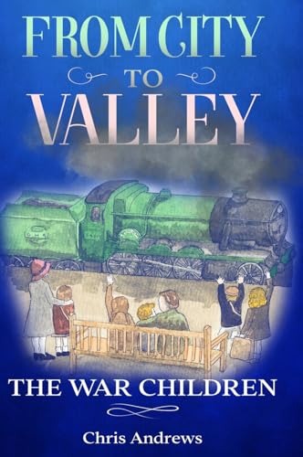 Andrews - From City to Valley - New hardback or cased book