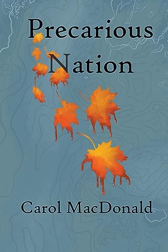 MacDonald - Precarious Nation - New paperback or softback