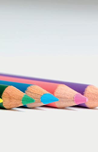 Young - Beginner's Notebook - New paperback or softback