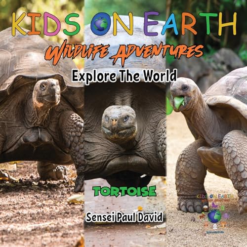 David - KIDS ON EARTH Wildlife Adventures - Explore The World Tortoise