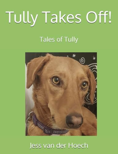 van der Hoec - Tully Takes Off! - New paperback or softback