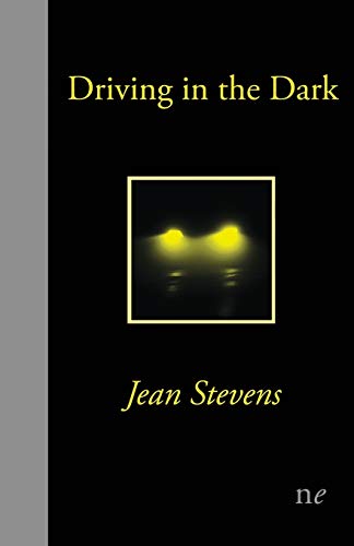 Stevens - Driving in the Dark - New paperback or softback