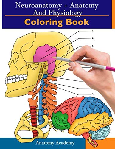 Harrison - Neuroanatomy + Anatomy and Physiology Coloring Book  2-in-1