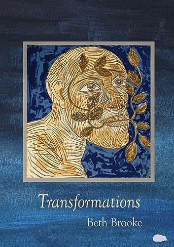 Brook - Transformations - New paperback or softback
