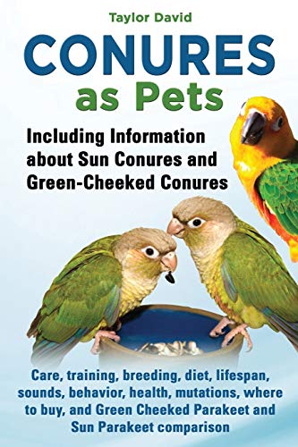 David - Conures as Pets - Including Information about Sun Conures and