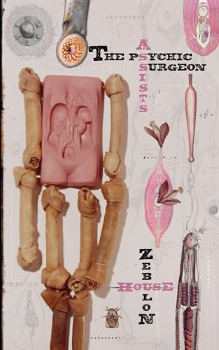 Hous - Pyschic Surgeon Assists - New paperback or softback