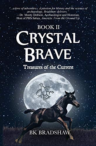 Bradshaw - Crystal Brave: Treasures of the Current - New paperback or