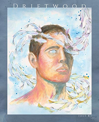 McNulty - Driftwood Press 8.1 - New paperback or softback