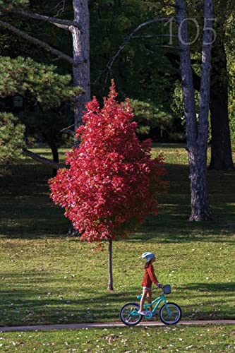 Unru - 105 Meadowlark Reader  Bicycle Stories - New paperback or softb