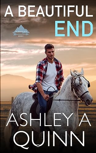 Quinn - A Beautiful End - New paperback or softback