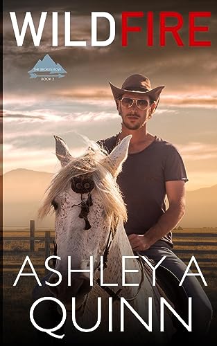 Quinn - Wildfire - New paperback or softback