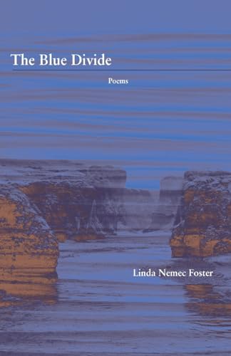 Foster - Blue Divide - New paperback or softback