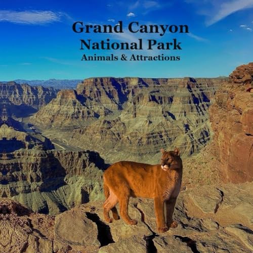 Mari - Grand Canyon Park Animals and Attractions Kids Book: Great Way