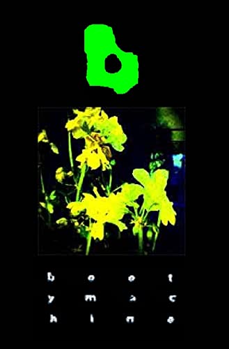 Zand - bootymachine 2007: 366 days of experimental narration - New har