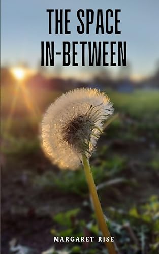 Ris - Space In-between - New paperback or softback