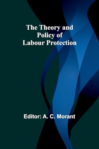 Morant - Theory and Policy of Labour Protection - New paperback or sof