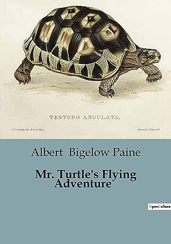 Bigelow Pain - Mr. Turtle's Flying Adventure - New paperback or softba
