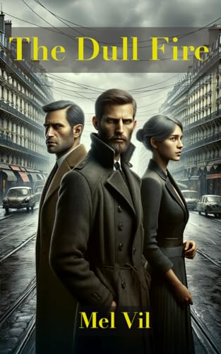 Vil - Dull Fire  A novel - New paperback or softback