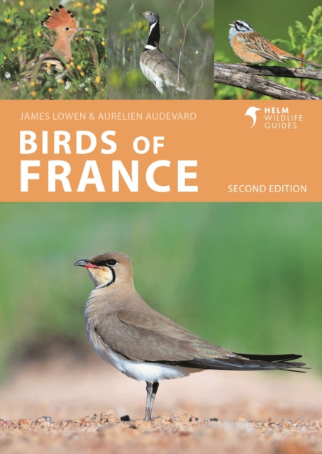 Aurelien Audevard - Birds of France - New Paperback