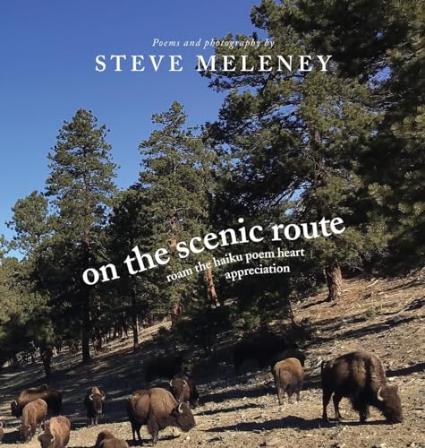 Meleney - On The Scenic Route: roam the haiku poem heart appreciation