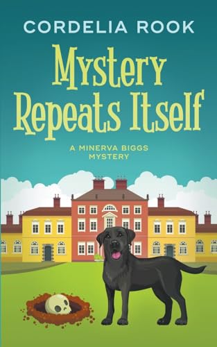 Rook - Mystery Repeats Itself - New paperback or softback