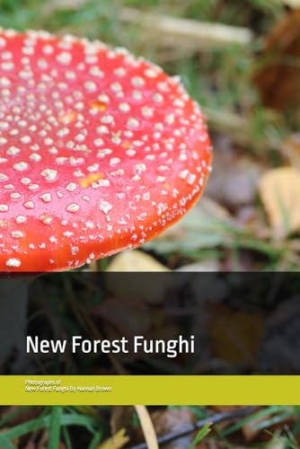 Brown - New Forest Funghi: Up Close - New paperback or softback