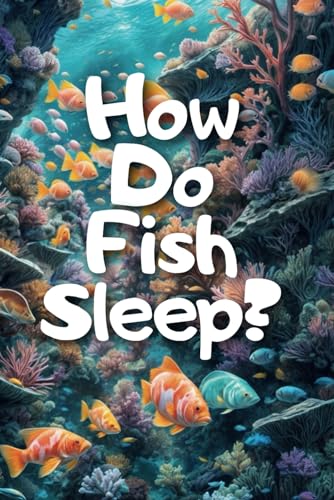 Galdin - How Do Fish Sleep? - New paperback or softback