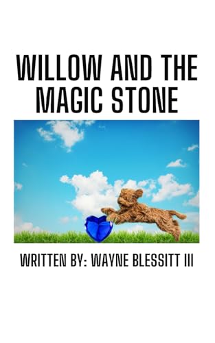 Blessitt - Willow's Magic Stone - New paperback or softback