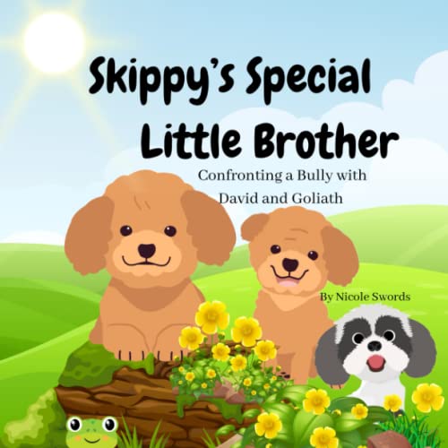 Swords - Skippy's Special Little Brother  Confronting a Bully with Dav