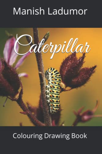 Ladumor - Caterpillar  Colouring Drawing Book - New paperback or softb