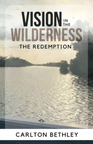 Bethley - Vision In The Wilderness  The Redemption - New paperback or