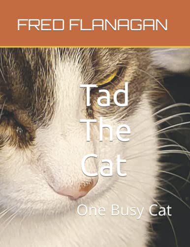 FLANAGAN - Tad  The Cat  One Busy Cat - New paperback or softback