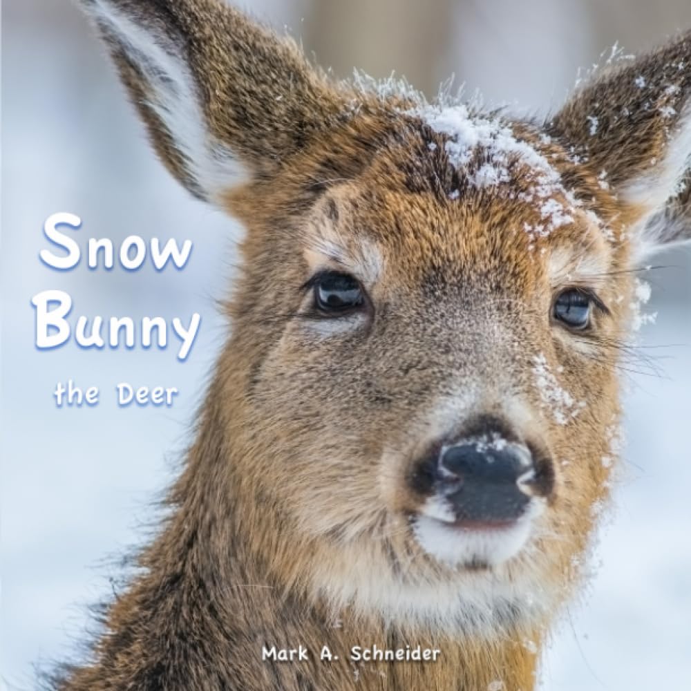 Schneider - Snow Bunny the Deer - New paperback or softback