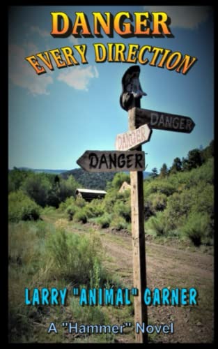 Syring - Danger Every Direction - New paperback or softback
