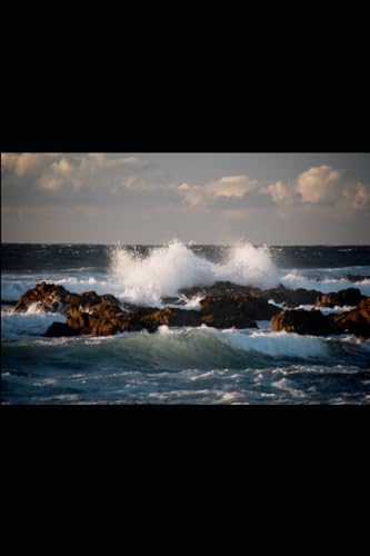 Quintois - Enduring Hope  Timeless Family - New paperback or softback