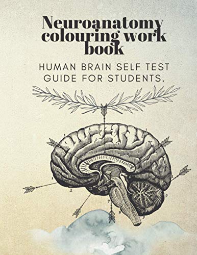 art - Neuroanatomy  colouring work book  human brain self test guide f