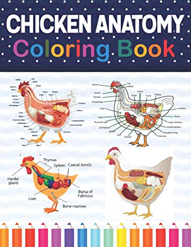 Publication - Chicken Anatomy Coloring Book  Chicken Anatomy and Veter
