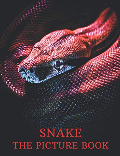 Publisher - Snake   The Picture Book of Amazing Snake for Snake Lovers