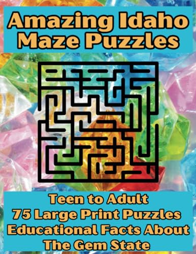 Karma - Amazing Idaho Maze Puzzles  Teen to Adult - New paperback or s