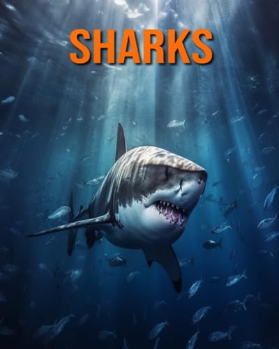 Hession - Sharks  Amazing Photos and Fun Facts Book for kids - New pap