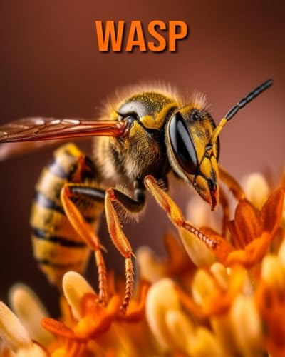 Hession - Wasp  Amazing Photos and Fun Facts Book for kids - New paper