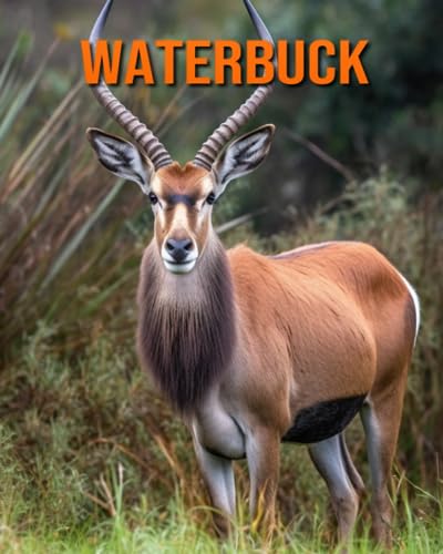 Hession - Waterbuck  Amazing Photos and Fun Facts Book for kids - New