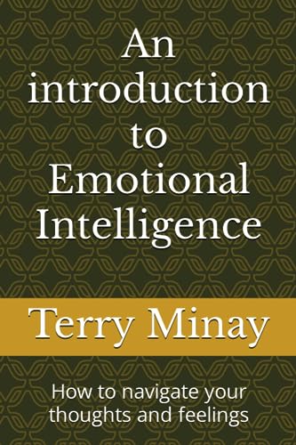 Minay - An introduction to Emotional Intelligence  How to navigate you