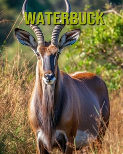 Horton - Waterbuck   Fun and Educational Book for Kids with Amazing Fa