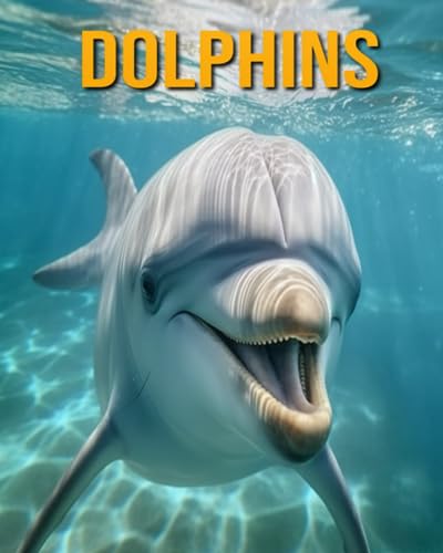 Oberski - Dolphins   Fun Facts Book for Kids - New paperback or softba