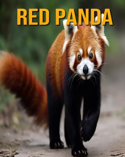Oberski - Red Panda   Fun Facts Book for Kids - New paperback or softb