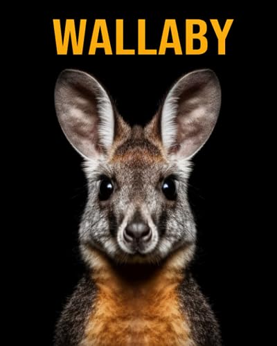 Oberski - Wallaby  Fun Facts Book for Kids - New paperback or softback