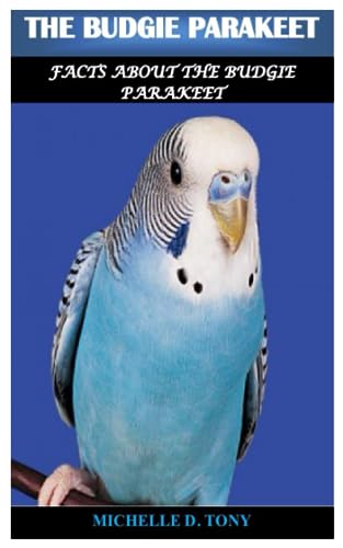 D. TONY - BUDGIE PARAKEET  Facts About The Budgie Parakeet - New paper