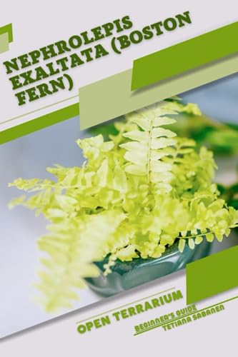 Sabanen - Nephrolepis exaltata (Boston Fern)  Open terrarium, Beginner